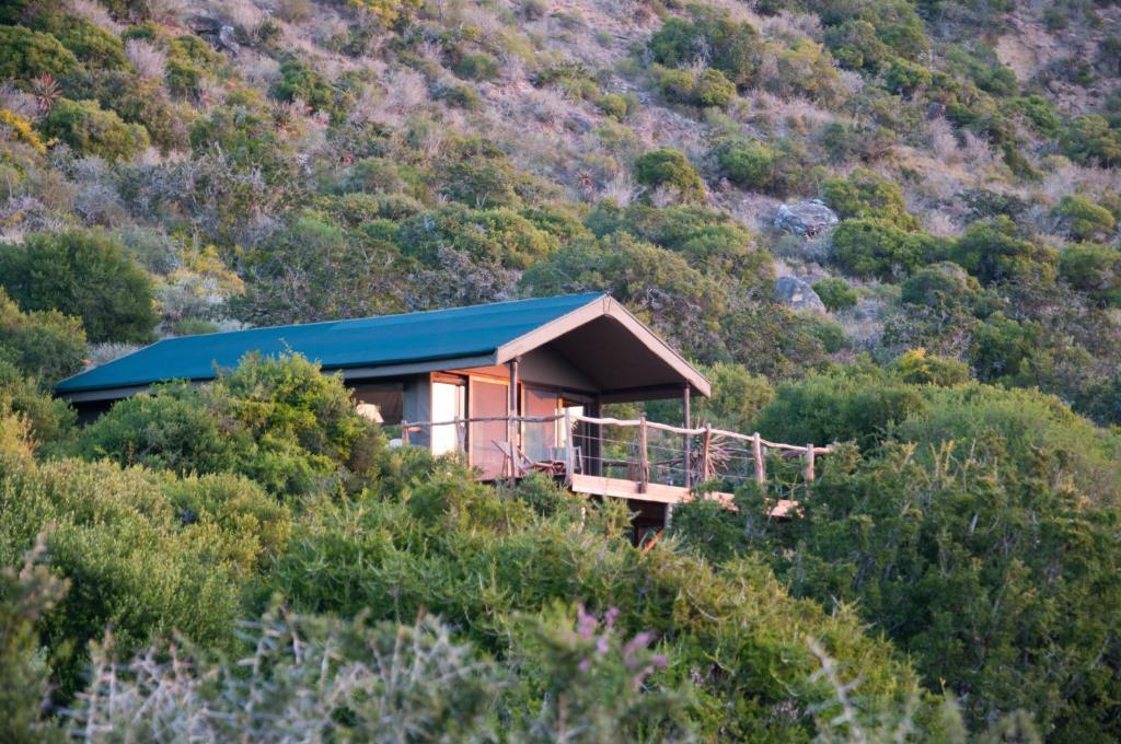 Hillsnek Safari Camp - アマカーラ・ゲーム・リザーブ 部屋 写真